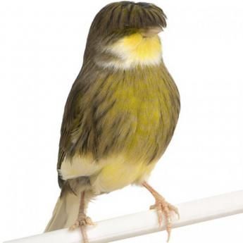 74f2cfdf4ab81bccac6bff174dbed50a