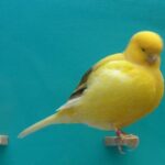 78326664-9d95-44c5-bc63-8782715b9b5e