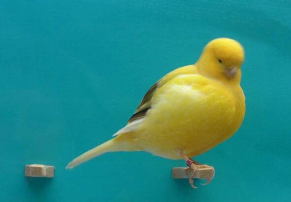 78326664-9d95-44c5-bc63-8782715b9b5e